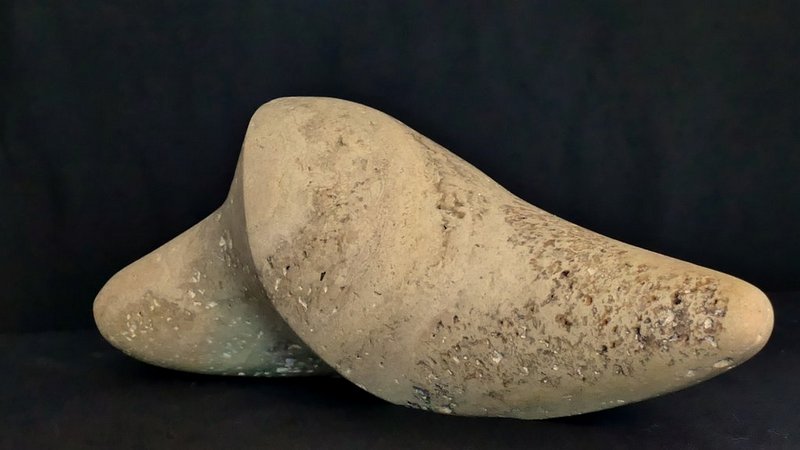Horn